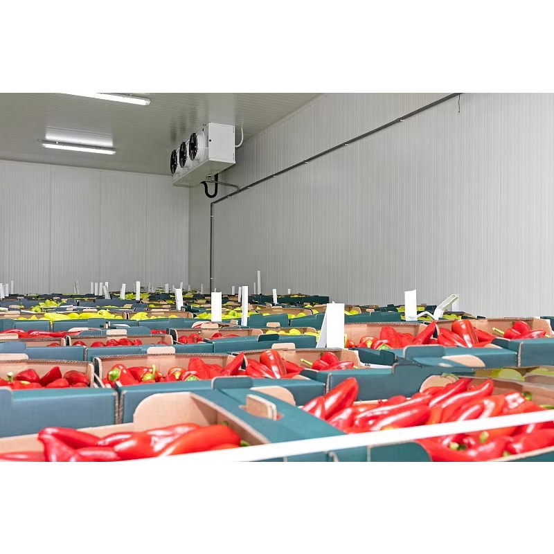 Customized Cold Room Hot Sale  - Food Storage Keep Hot recension och pris