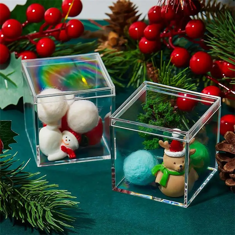12 PCS Transparent Acrylic Box - Food Storage Acrylic Containers recension och pris